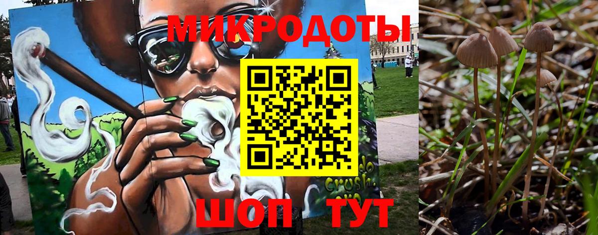 Псилоцибиновые грибы Cubensis Магадан