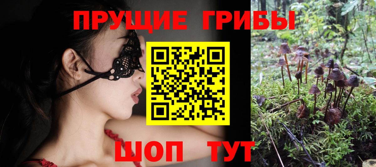 Псилоцибиновые грибы ЛСД  Вход с VPN  Магадан 